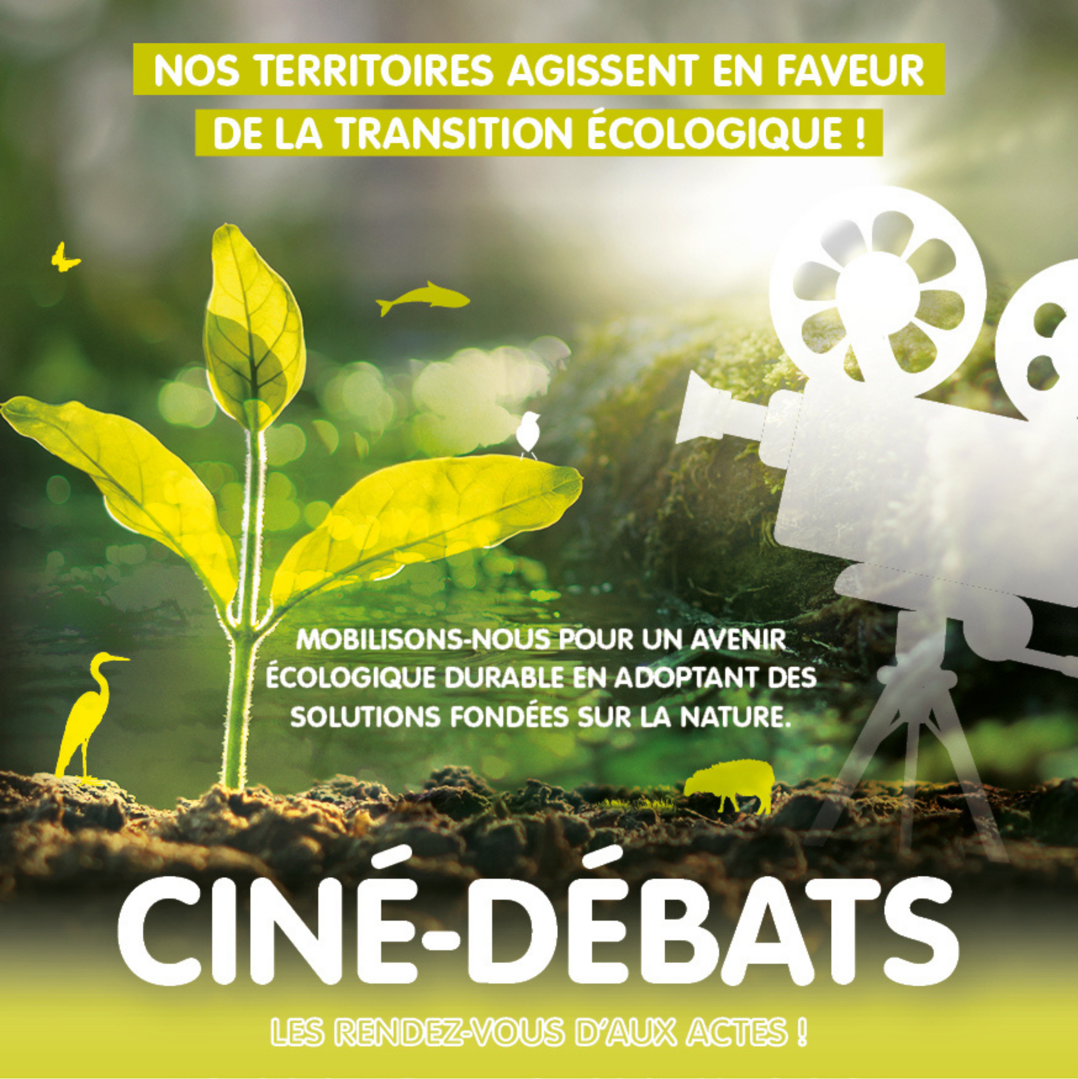 Cinéma Vert en Périgord 